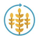 Icons_metabolism of szénhidrát